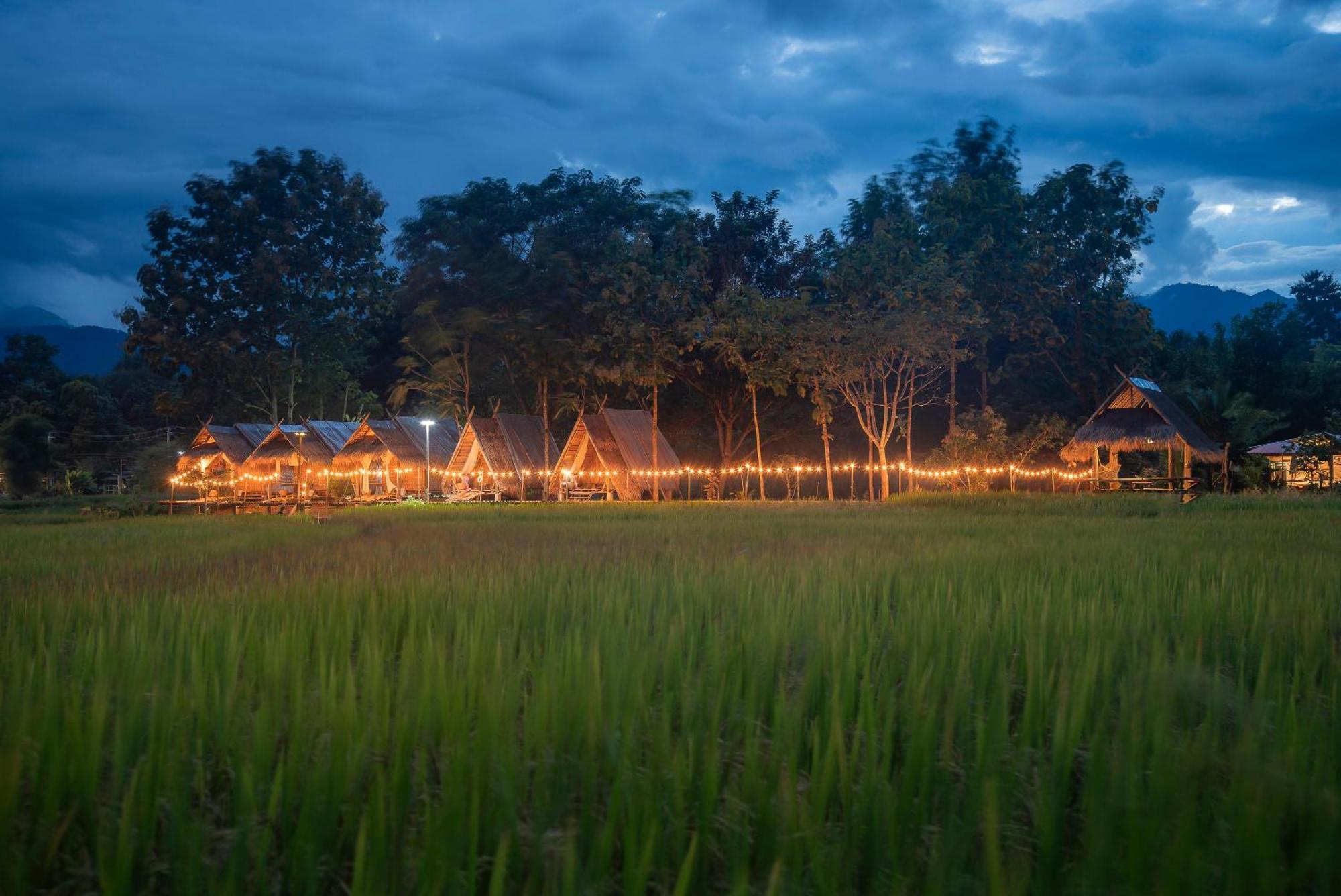 Paddy Fields Haven - Natures Nest ปาย ภายนอก รูปภาพ