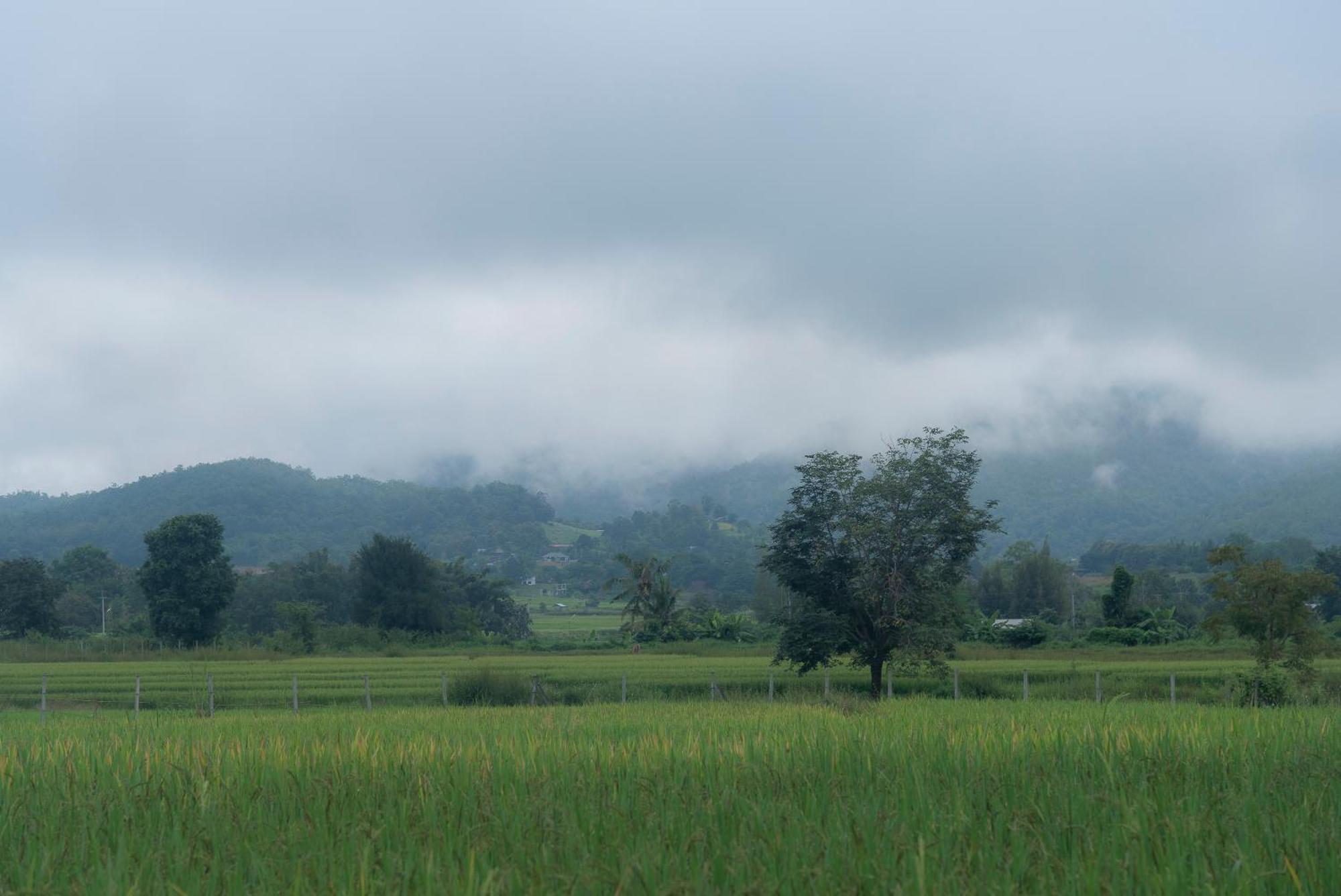 Paddy Fields Haven - Natures Nest ปาย ภายนอก รูปภาพ