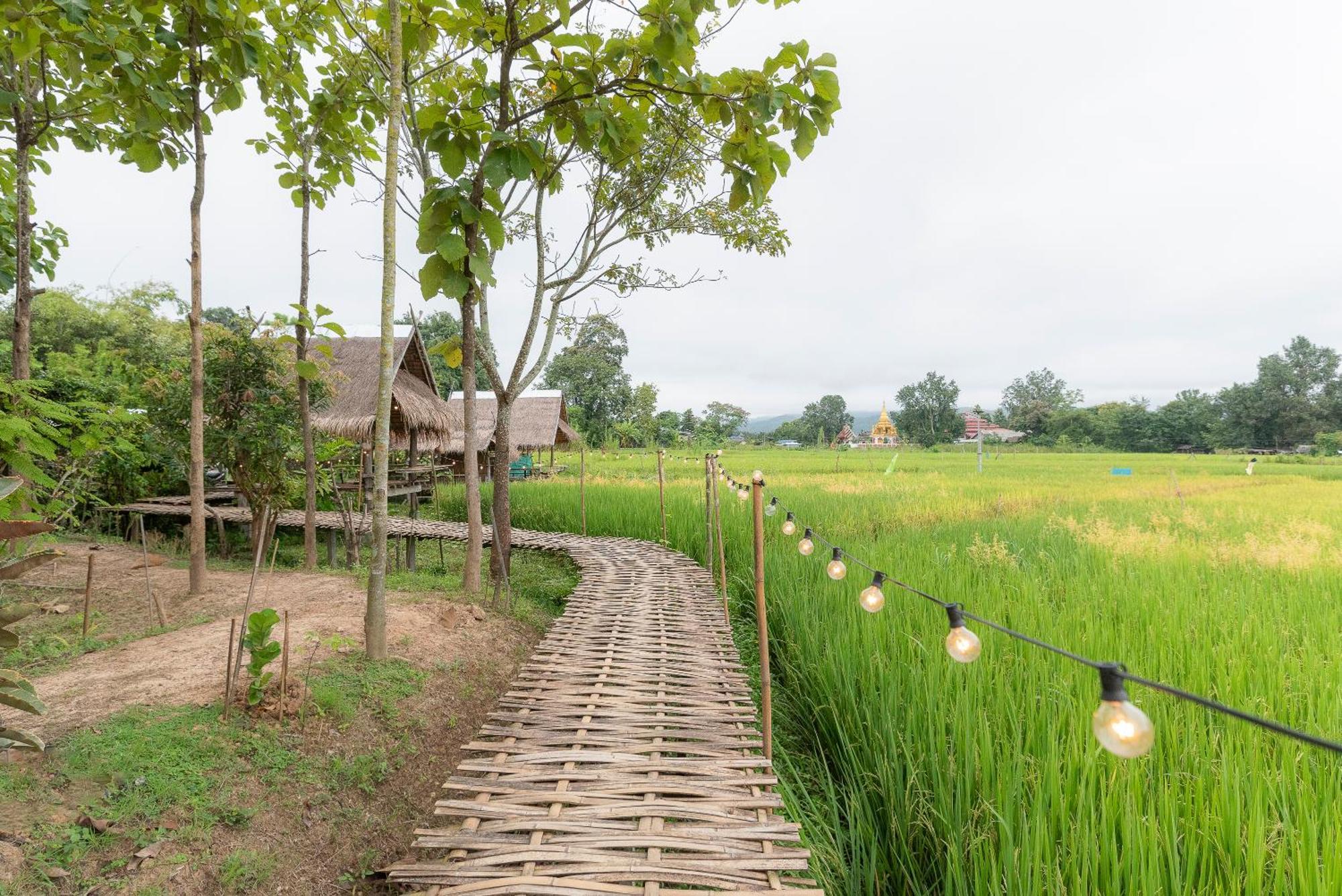 Paddy Fields Haven - Natures Nest ปาย ภายนอก รูปภาพ