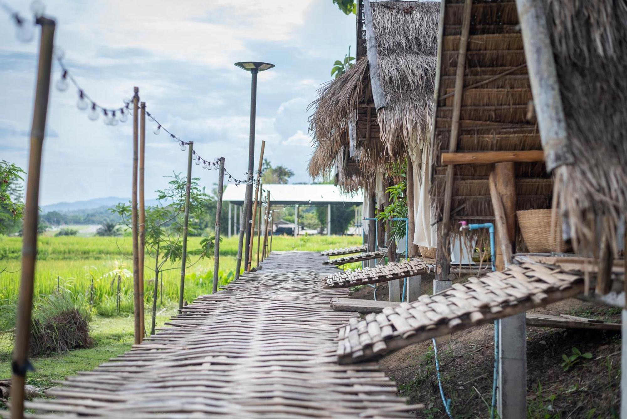 Paddy Fields Haven - Natures Nest ปาย ภายนอก รูปภาพ