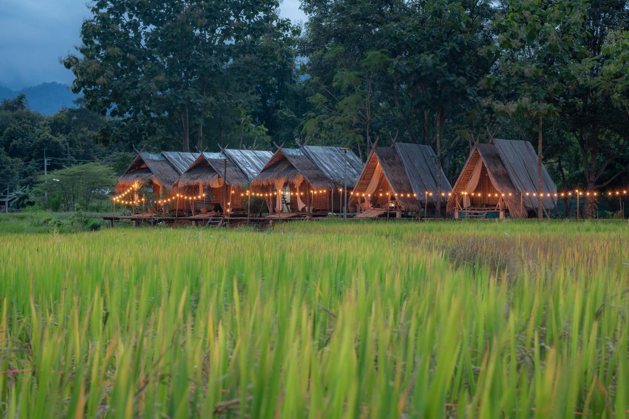 Paddy Fields Haven - Natures Nest ปาย ภายนอก รูปภาพ